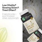 Shilajit Capsules - Image 3