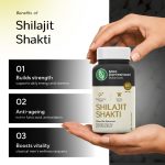 Shilajit Capsules - Image 4